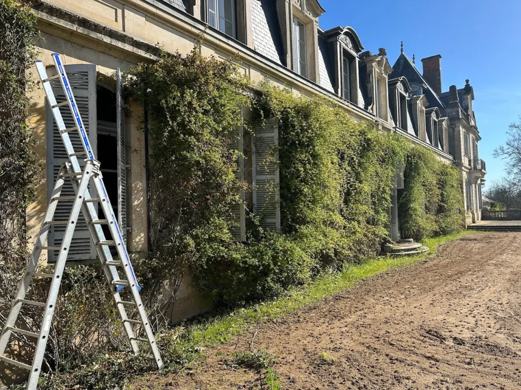 Rénovation Château: Échelle et Façade Végétale Grande échelle appuyée contre le mur couvert de végétation d'un château ancien, avec des volets ouverts sous un ciel bleu.